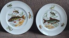 Fish decorative fish for sale  BARNSLEY