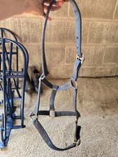 Head collar horses for sale  PRESTON