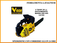Motosega 25cc 800w usato  Lavagna