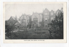 Vintage postcard plas for sale  HOLYHEAD