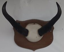 Vintage pronghorn antelope for sale  Lansing