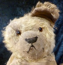Antique mohair teddy for sale  HASTINGS
