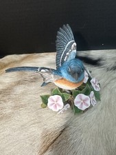Lenox lazuli bunting for sale  Rosenberg
