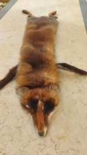 collo pelliccia vera volpe usato collo pelliccia vera volpe usato  Campi Salentina