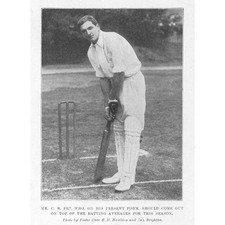 Cricket c.b. fry for sale Cricket c.b. fry for sale  GLASGOW