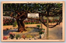 Postcard famous old for sale  Kansas City