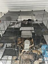 Käfig chinchillas gebraucht kaufen  Osloß