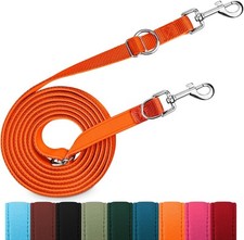 Training lead double for sale  BRISTOL