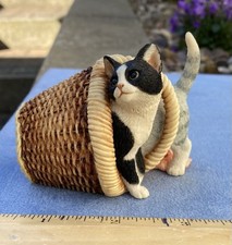 Sherratt simpson kittens for sale  WELLINGBOROUGH