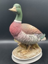 Andrea sadek mallard for sale  Clifton