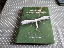 British plume moths for sale British plume moths for sale  SHEFFIELD