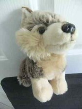 Ravensden suma husky for sale  LEICESTER