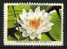 Reklamemarke washington sweet gebraucht kaufen  Berlin