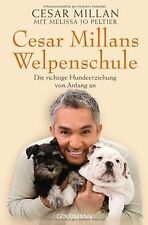 Cesar millans welpenschule gebraucht kaufen  Berlin