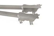 Grillzange motiv kuh gebraucht kaufen  Meßkirch