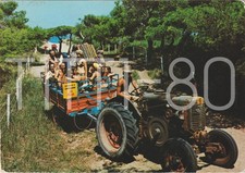 Isola varano rancho usato  Polcenigo