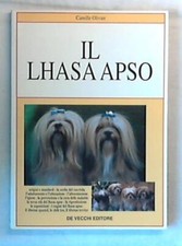 37576 lhasa apso usato  San Benedetto del Tronto