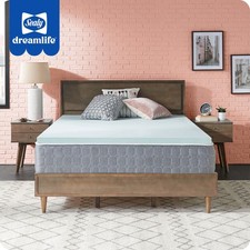 Sealy dreamlife twin for sale  Minneapolis