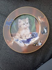 Katzenteller sammlerstück hab gebraucht kaufen Katzenteller sammlerstück hab gebraucht kaufen  Blaufelden