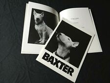 Baxter bull terrier d'occasion Baxter bull terrier d'occasion  France