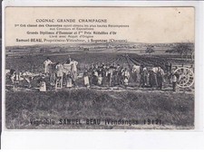Segonzac cognac grande d'occasion  France