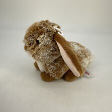 Aurora holland lop for sale  Kanorado