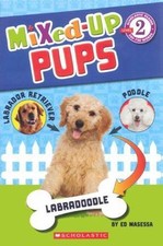 Mixed pups masessa for sale  Aurora