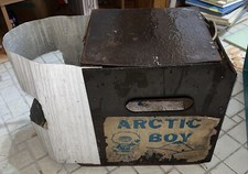 Arctic boy custom for sale  Elkhart