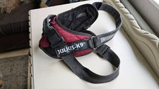 Julius dog harness for sale  COLNE