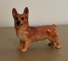 corgi puppies for sale corgi puppies for sale NORTHAMPTON