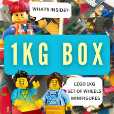 Paquete LEGO 1 kg piezas de ladrillos mixtos minifiguras + accesorios conjunto de trabajo segunda mano  Embacar hacia Mexico