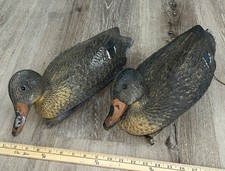 Carry lite duck for sale  Erie