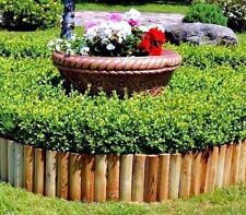 Rollborder legno impregnato usato  Padova