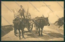 Palermo Costumi Siciliani Carro Buoi cartolina QQ0811 comprar usado  Enviando para Brazil
