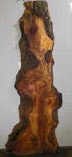 D66 maple burl for sale  Millsboro