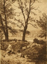birket foster for sale birket foster for sale UK