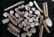 Bag natural sea for sale  CHORLEY