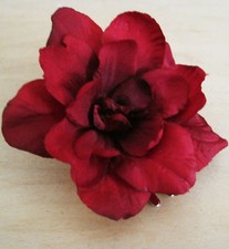 Usado, 2,5" Romântico Flor de Maçã Vermelha Flor de Seda Clipe de Cabelo Casamento, Formatura, Noiva  comprar usado Usado, 2,5" Romântico Flor de Maçã Vermelha Flor de Seda Clipe de Cabelo Casamento, Formatura, Noiva  comprar usado  Enviando para Brazil