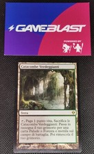 Mtg verdant catacombs usato  Pescara