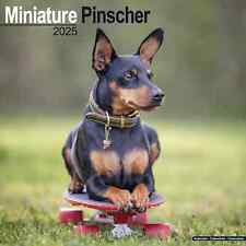 Calendrier 2025 pinscher d'occasion  Troyes