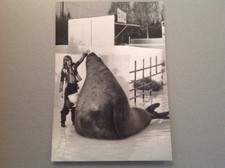 Patrick juvet photo d'occasion  Versailles