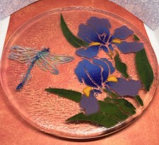 Marsh dragonfly iris for sale  Warrenton