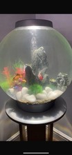 Biorb fish tank for sale  WALSALL