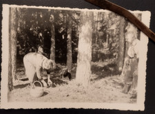 Altes foto foto gebraucht kaufen  Burgthann