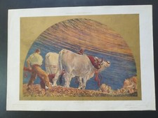 Antica stampa colori usato  Roma