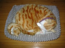 Perfect petzzz katze gebraucht kaufen  Bad Rappenau