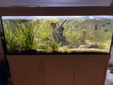 co2 anlage aquarium gebraucht kaufen co2 anlage aquarium gebraucht kaufen Wunstorf