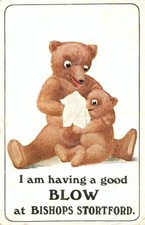 Vintage postcard bears for sale  UK
