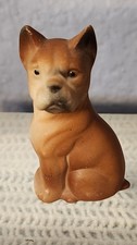 bulldog mini french puppy for sale bulldog mini french puppy for sale Kyle