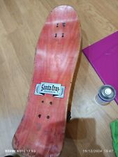 Skateboard santa cruz usato  Venezia
